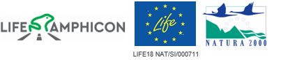 Logo_Life Amphicon.png